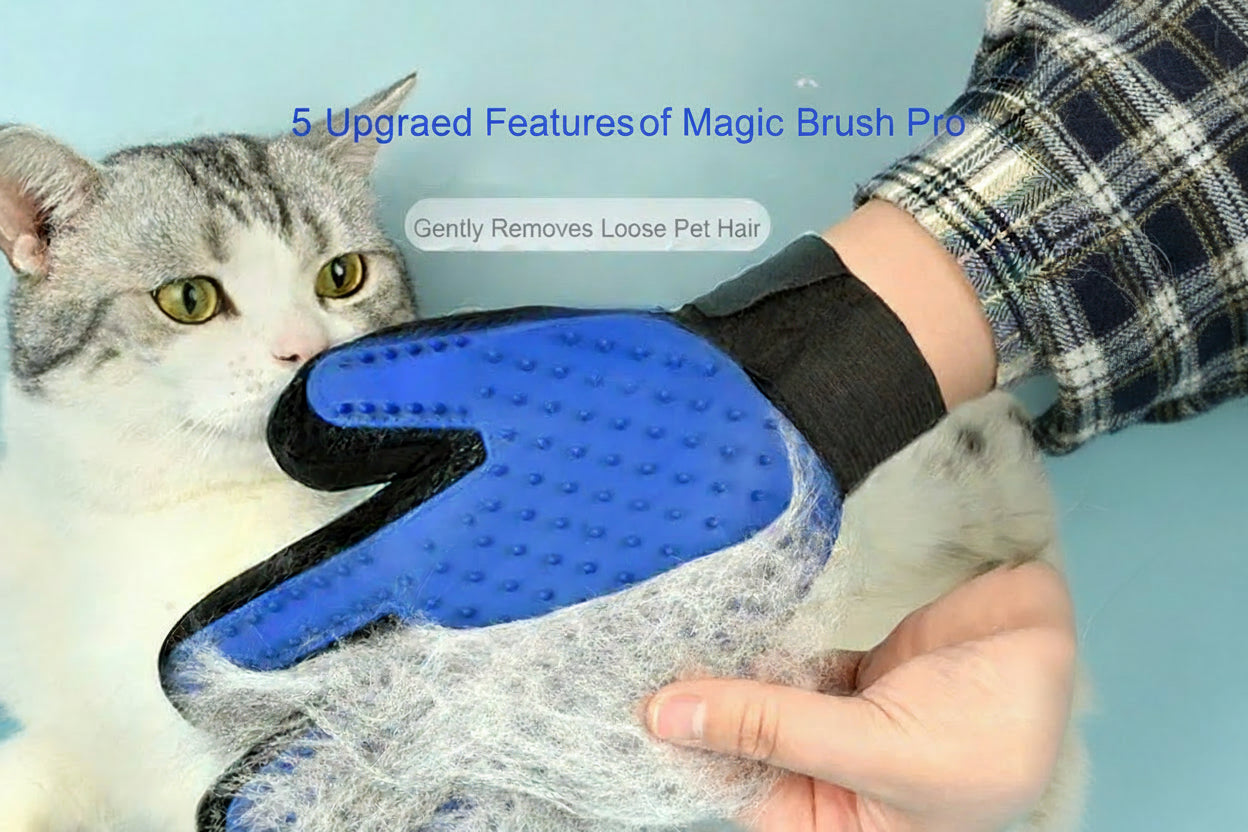 Pet grooming glove with collected hair next to a cat on a blue background