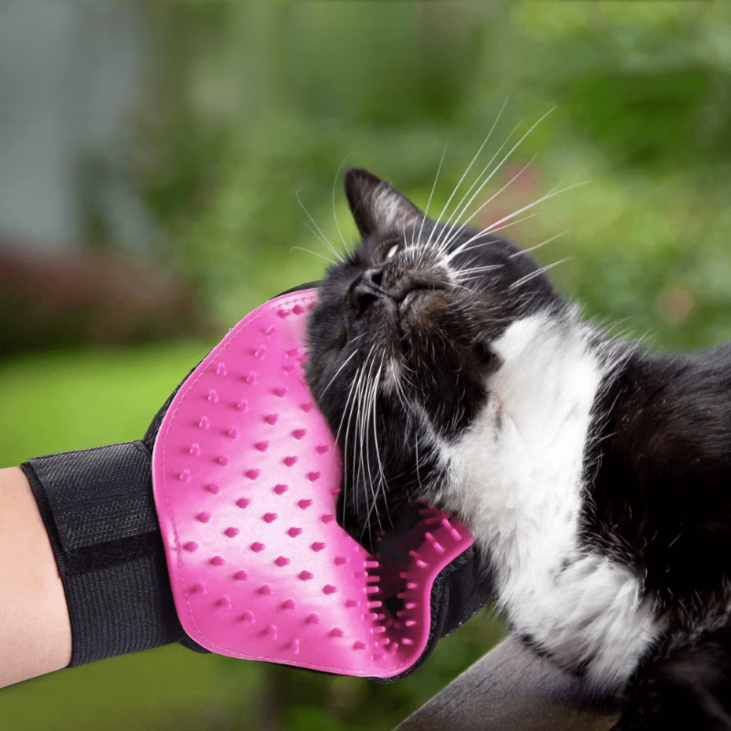 Magic Brush Pro grooming_gloves left  blue Steam Pet Grooming Brush – Deshedding Tool for Cats & Dogs