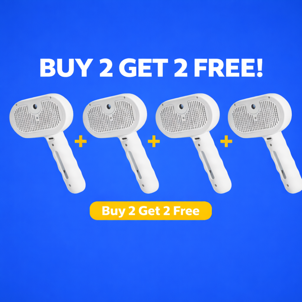 Four fly swatters on a blue background with promotional text 'Buy 2 Get 2 Free'.